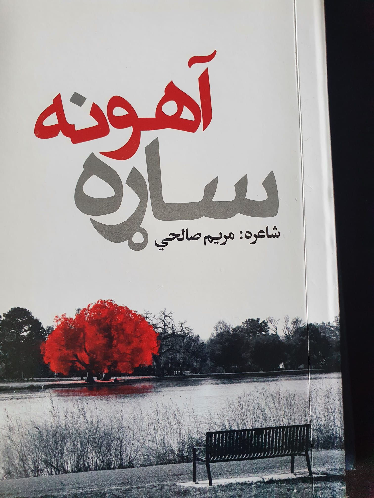 (دمحترمې مریم صا لحي لنډه پيژند نه )